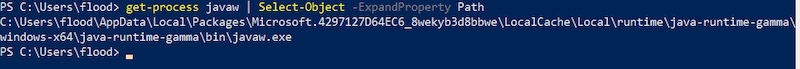 Find Minecraft Java Process.